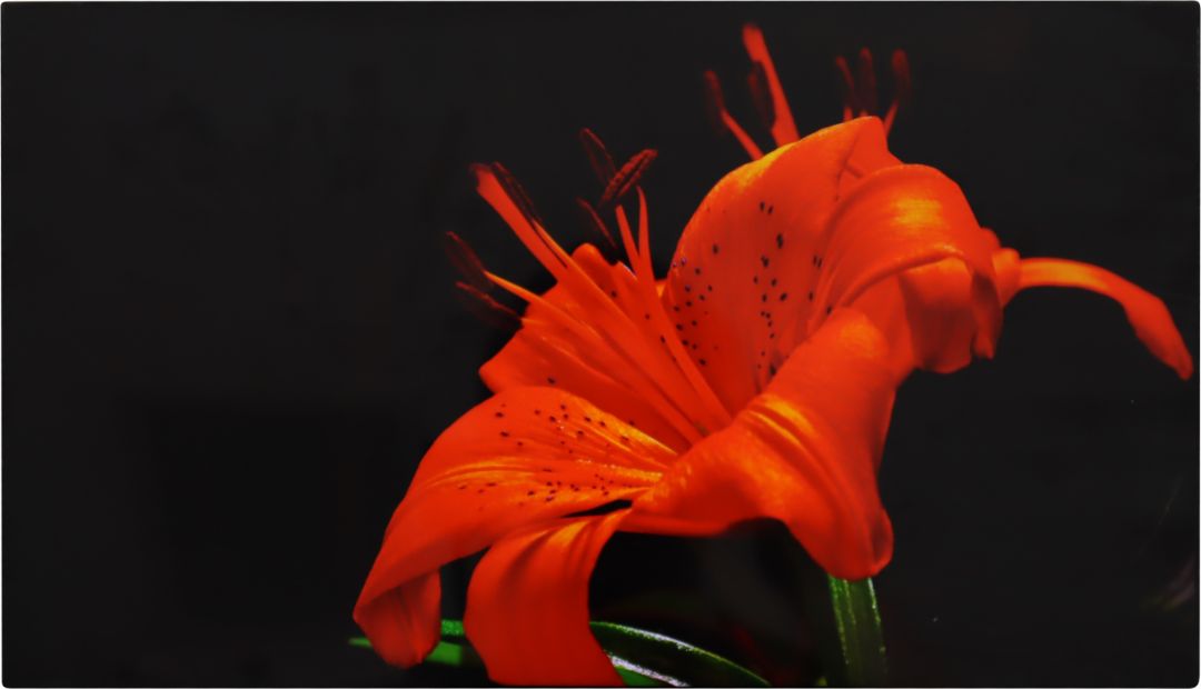 1690535562197519.png 640.png